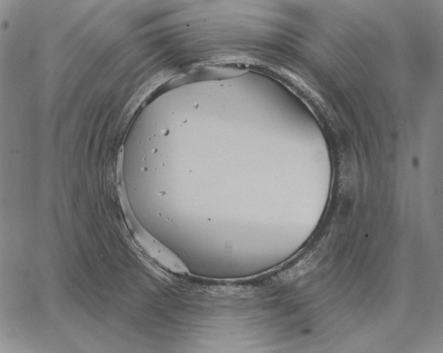 X0000066531281200604071608