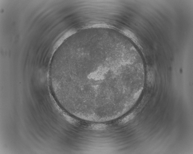 X0000066531282200604071608