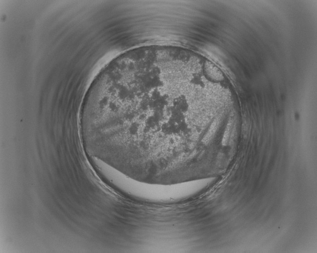 X0000066531283200604071608