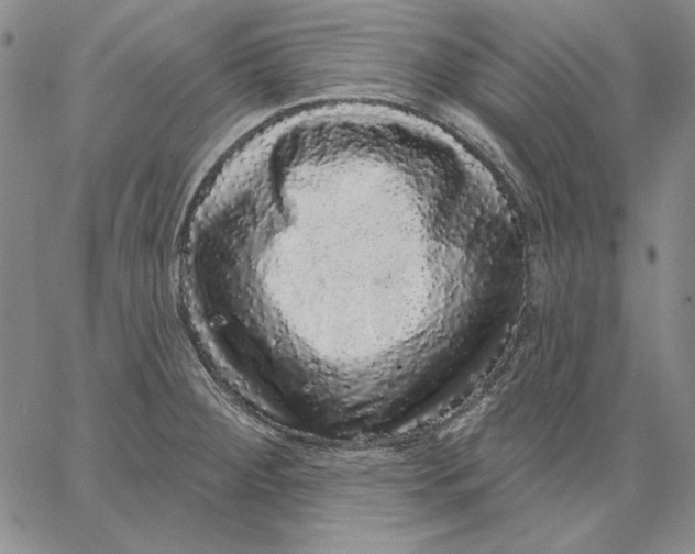 X0000066531284200604071608