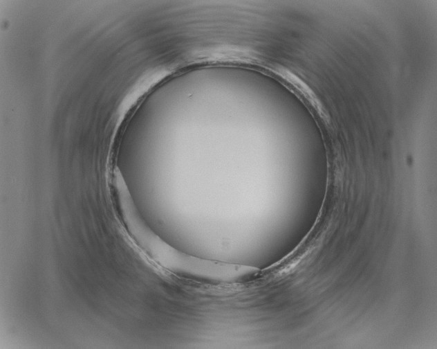 X0000066531285200604071607