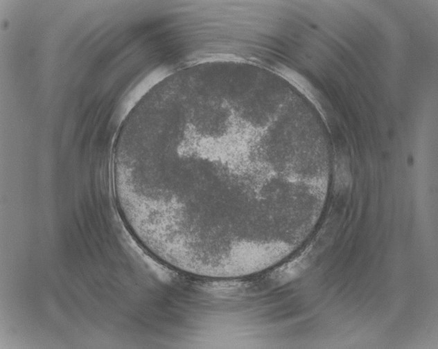 X0000066531290200604071607