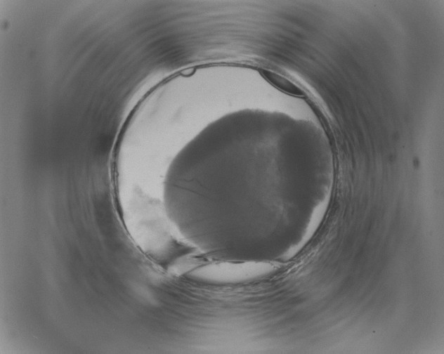 X0000066531291200604071607