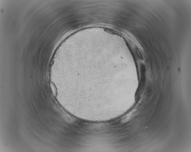 X0000066531292200604071607