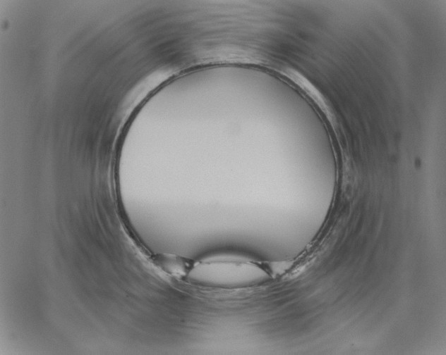 X0000066531293200604071607