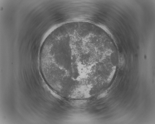 X0000066531294200604071607