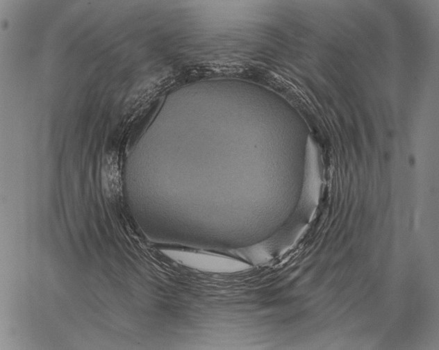 X0000066531298200604071607