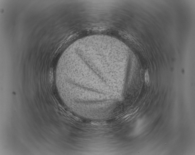 X0000066531299200604071607