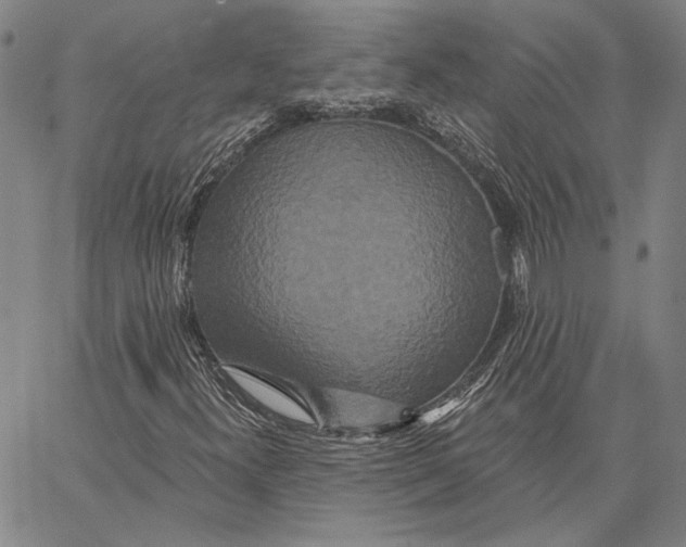 X0000066531300200604071607