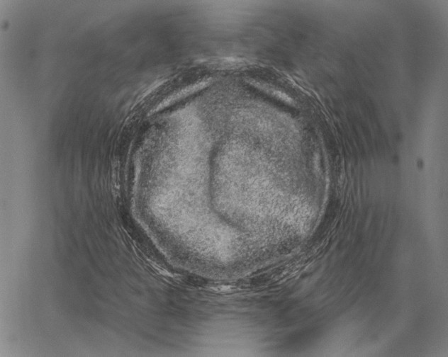 X0000066531301200604071607