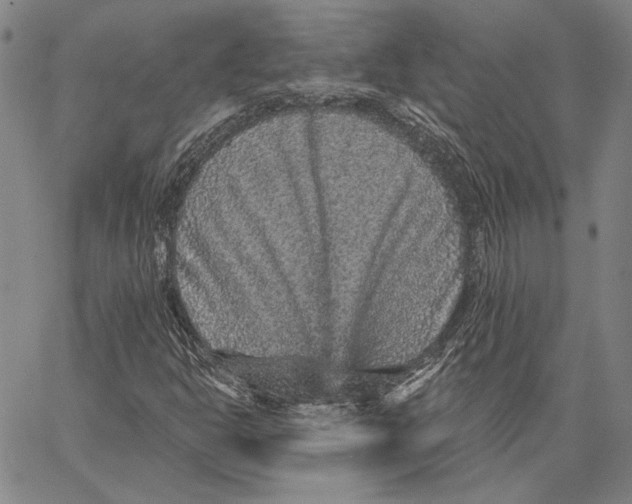 X0000066531302200604071607