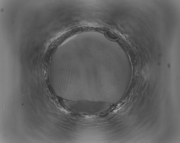 X0000066531303200604071607