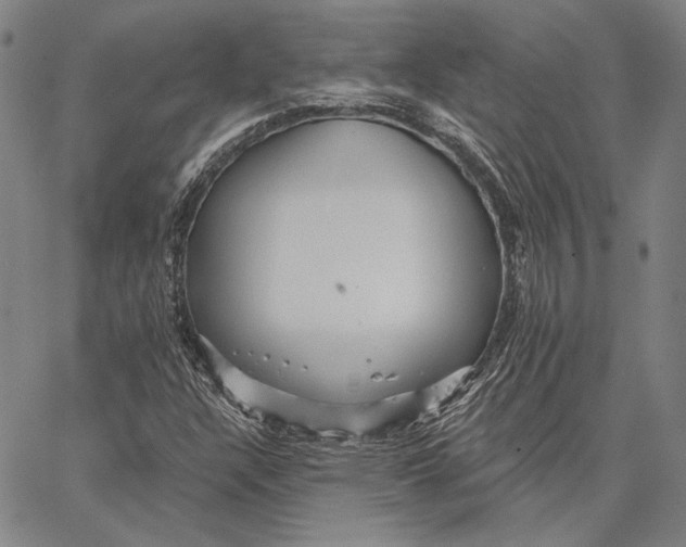 X0000066531304200604071607