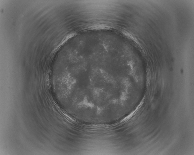 X0000066531305200604071607