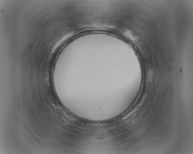 X0000066531307200604071607