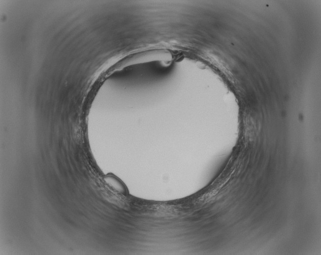 X0000066531308200604071607