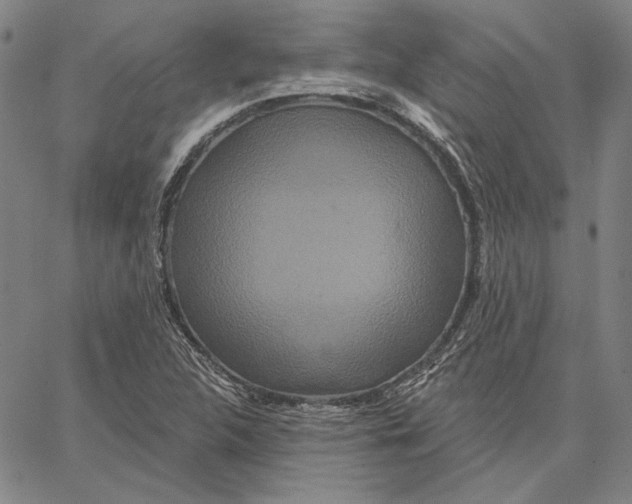 X0000066531312200604071607