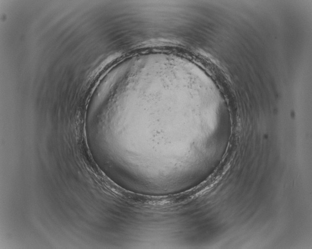 X0000066531313200604071607