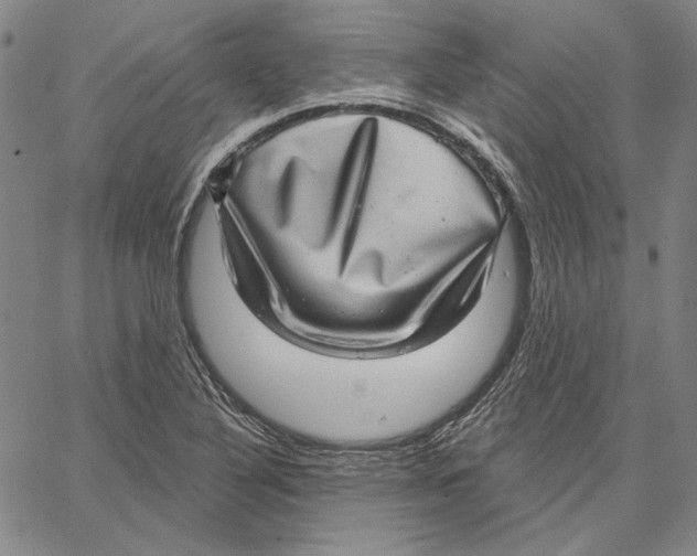 X0000066531316200604071607