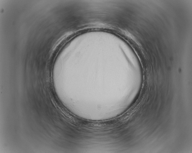 X0000066531318200604071607