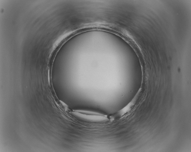 X0000066531320200604071607