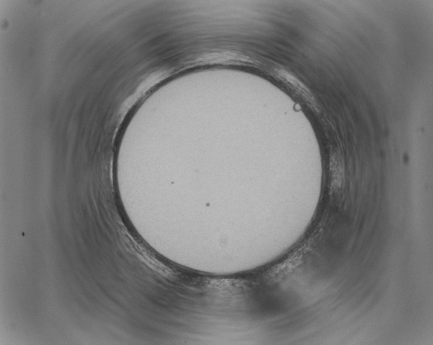 X0000066531322200604071607