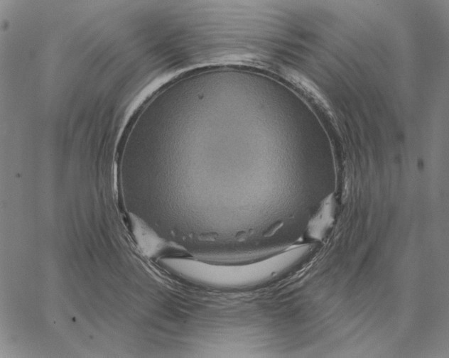 X0000066531324200604071607