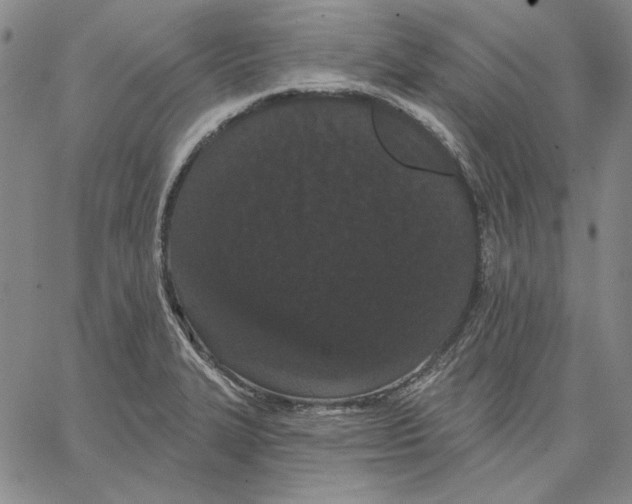 X0000066531327200604071607