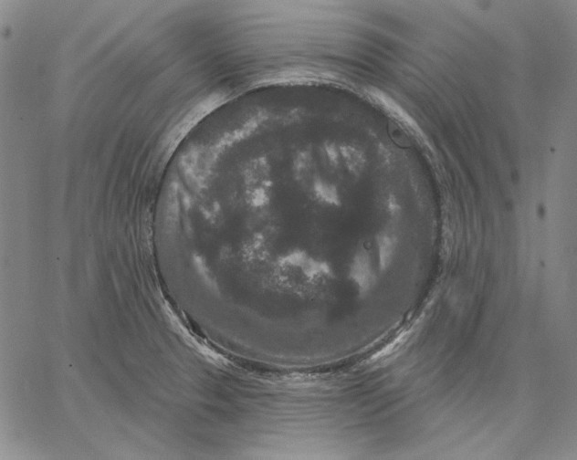 X0000066531329200604071607