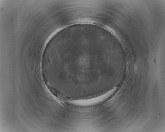 X0000066531331200604071607