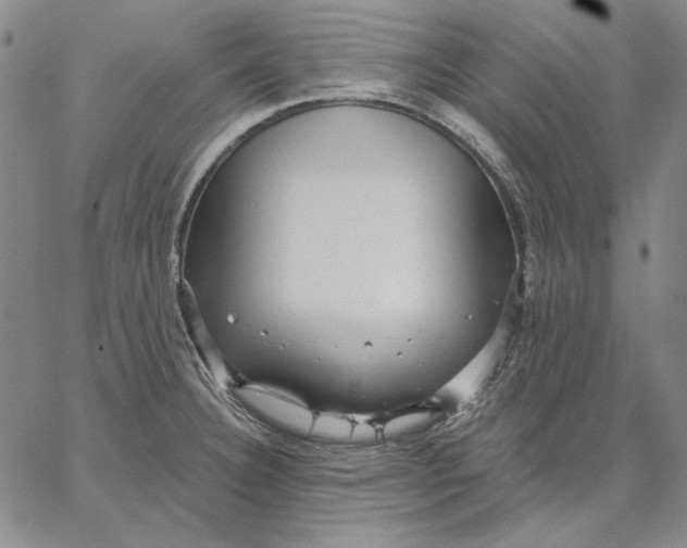 X0000066531332200604071607