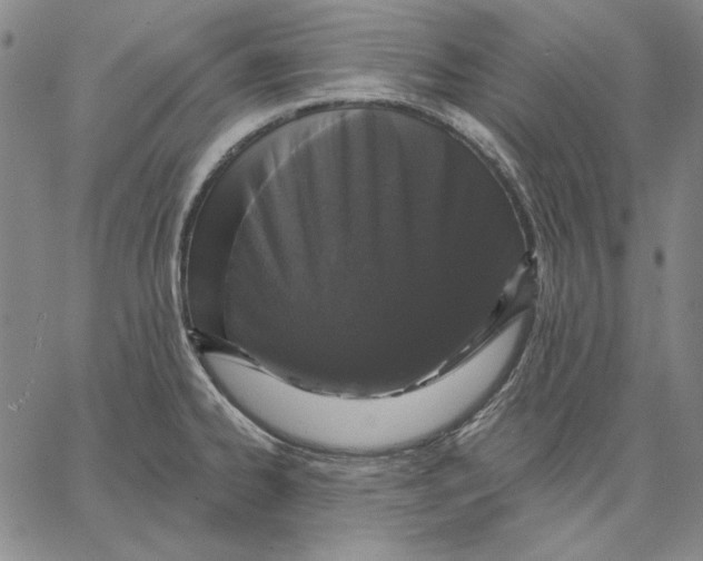 X0000066531334200604071607