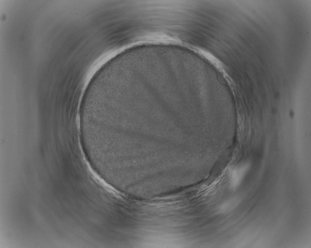 X0000066531335200604071607