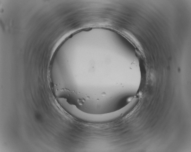 X0000066531340200604071607