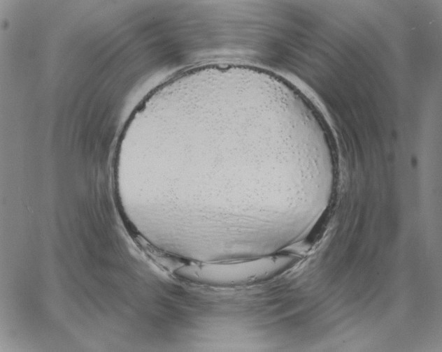 X0000066531341200604071607