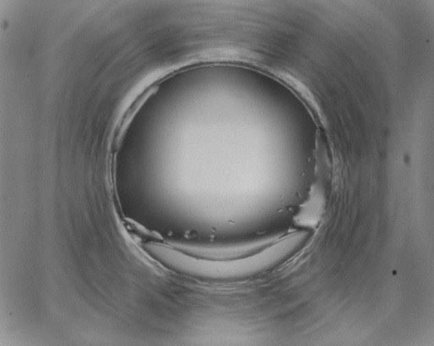 X0000066531342200604071607