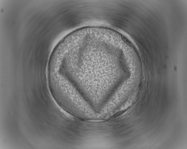 X0000066531343200604071607