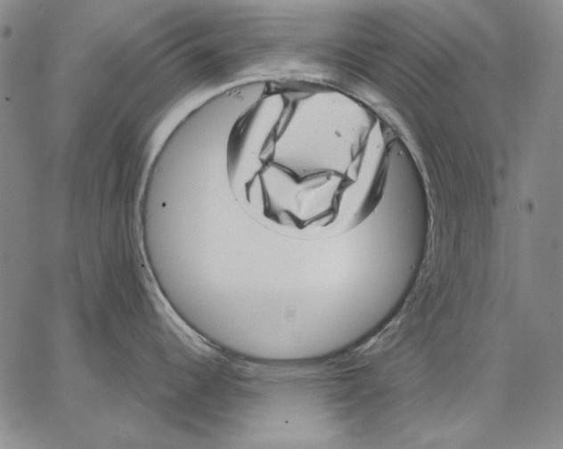 X0000066531344200604071607