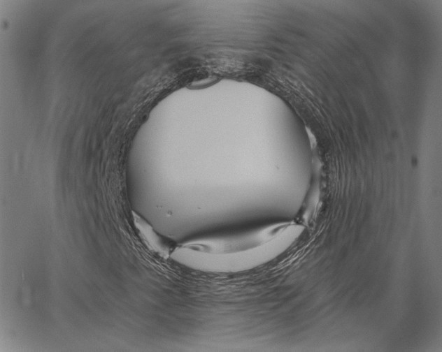 X0000066531345200604071607