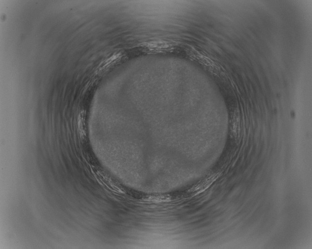 X0000066531346200604071606