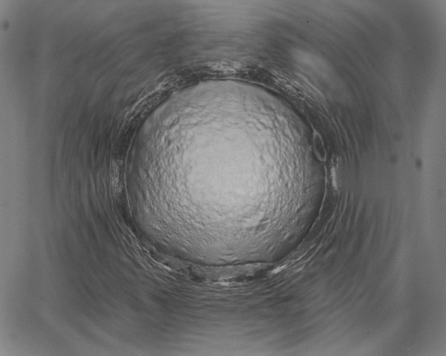 X0000066531347200604071606