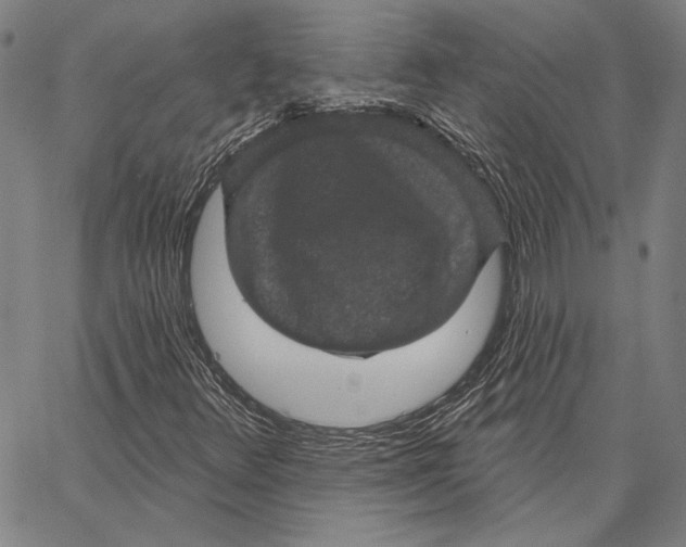 X0000066531348200604071606