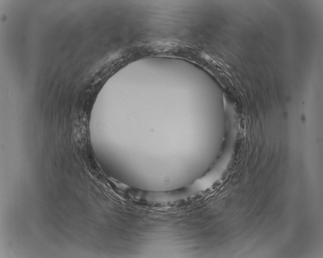 X0000066531349200604071606