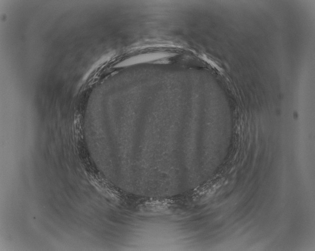 X0000066531351200604071606