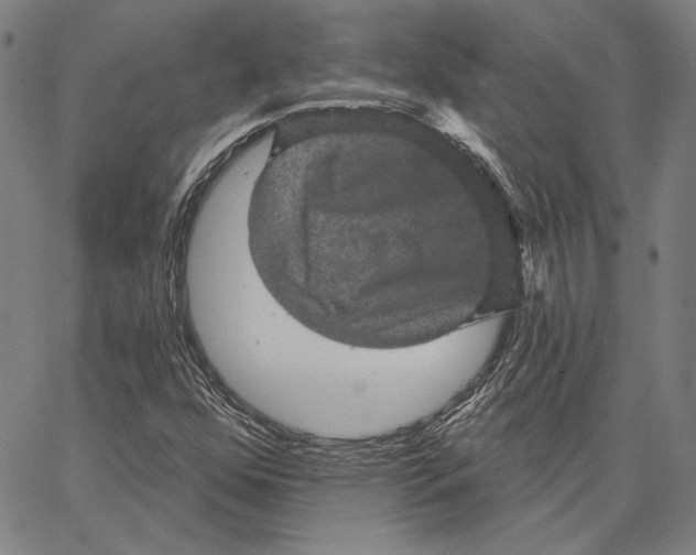 X0000066531352200604071606