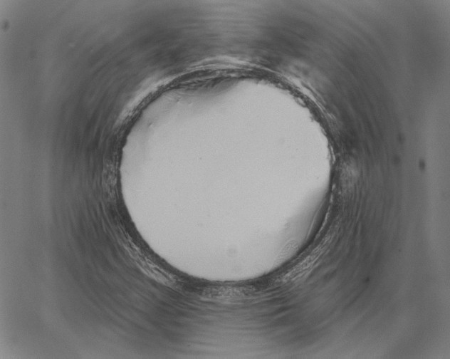 X0000066531355200604071606