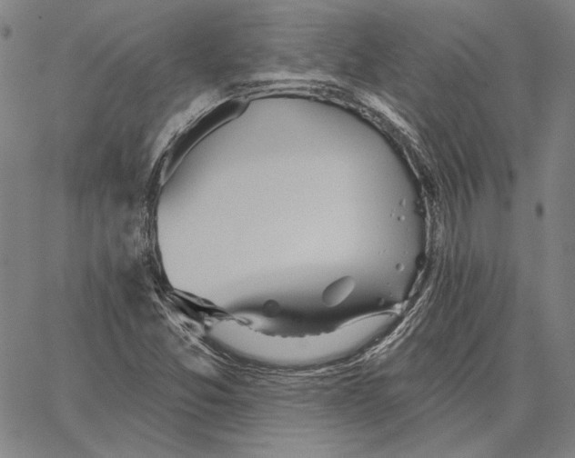 X0000066531357200604071606