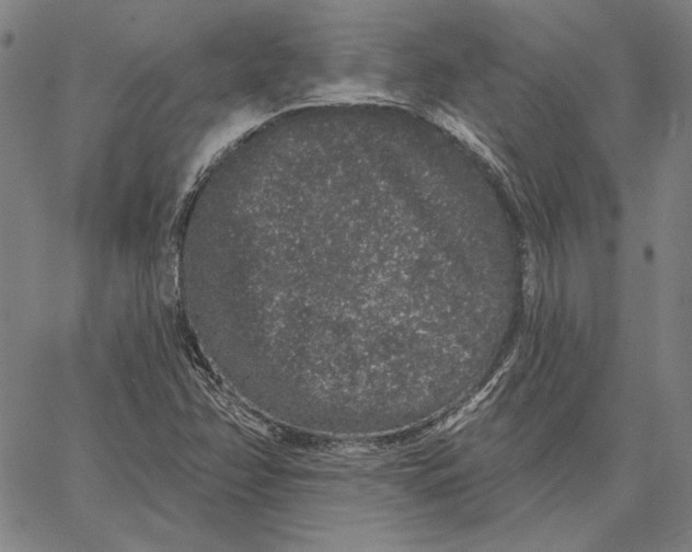 X0000066531358200604071606