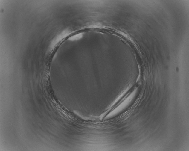 X0000066531359200604071606