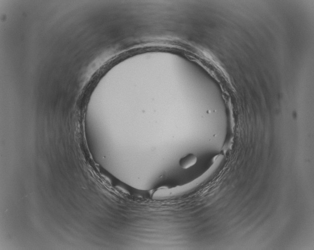 X0000066531360200604071606